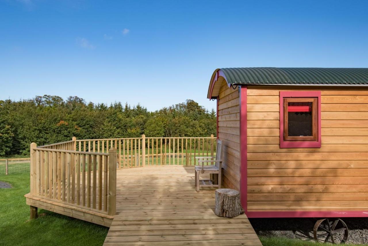 Foxglove Shepherd'S Hut Berwick Upon Tweed Εξωτερικό φωτογραφία